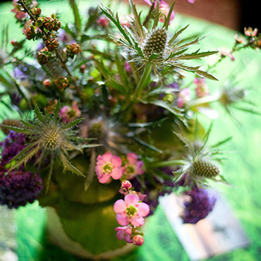 Nature Conservancy Floral Detail